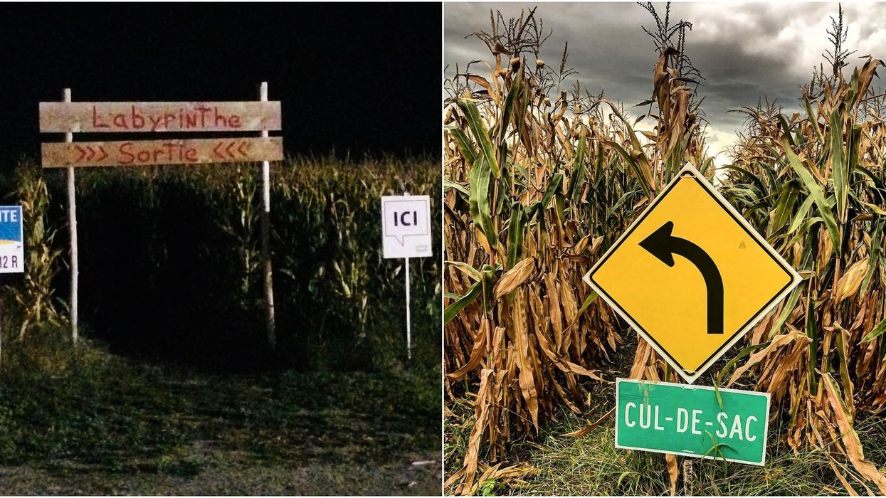 Un labyrinthe de nuit a ouvert ses portes à Laval et ça donne la chair de poule
