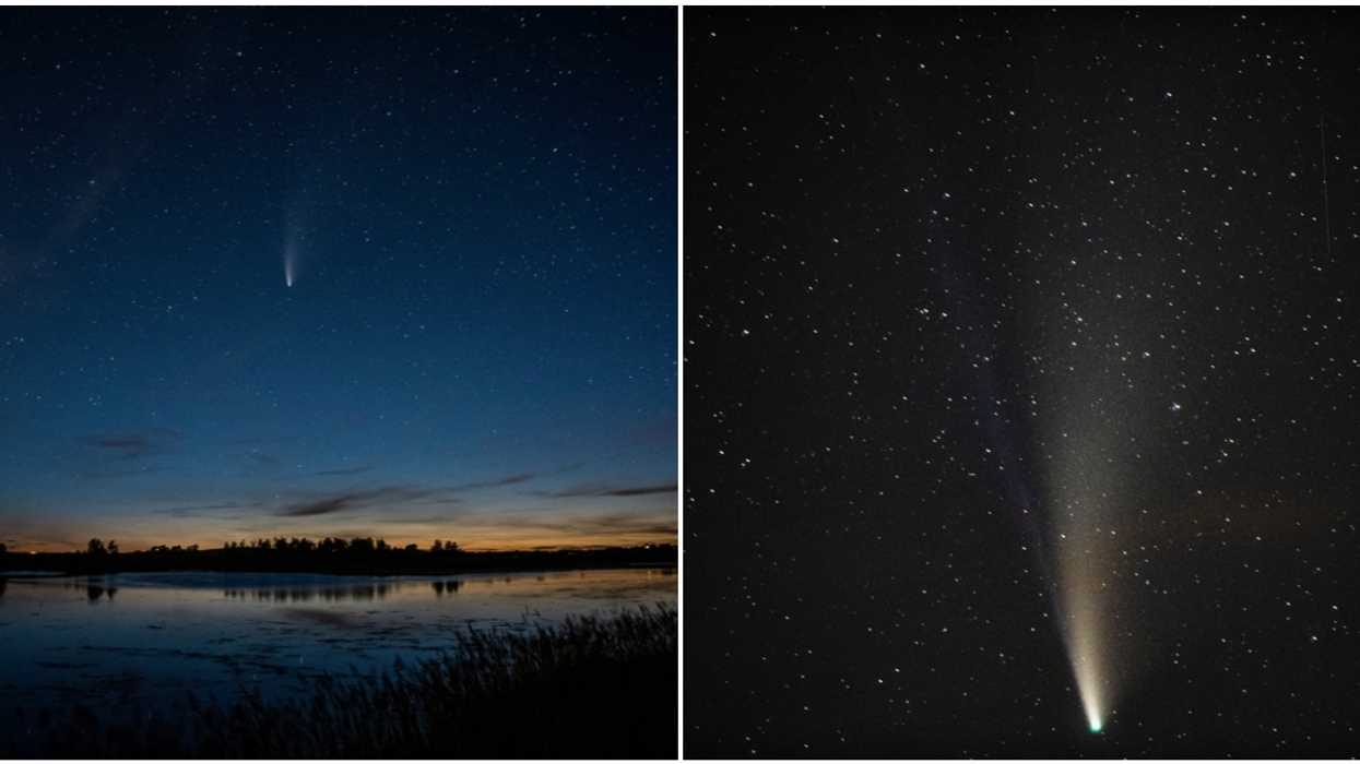 The NEOWISE Comet Will Be Epic Tonight Over Calgary & Here's How You See It