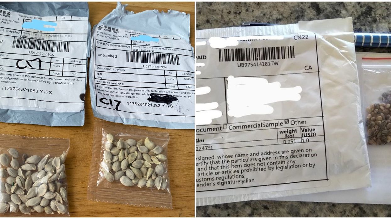 Canadians Are Getting Unsolicited Seeds In The Mail & The Government Says Don't Plant Them