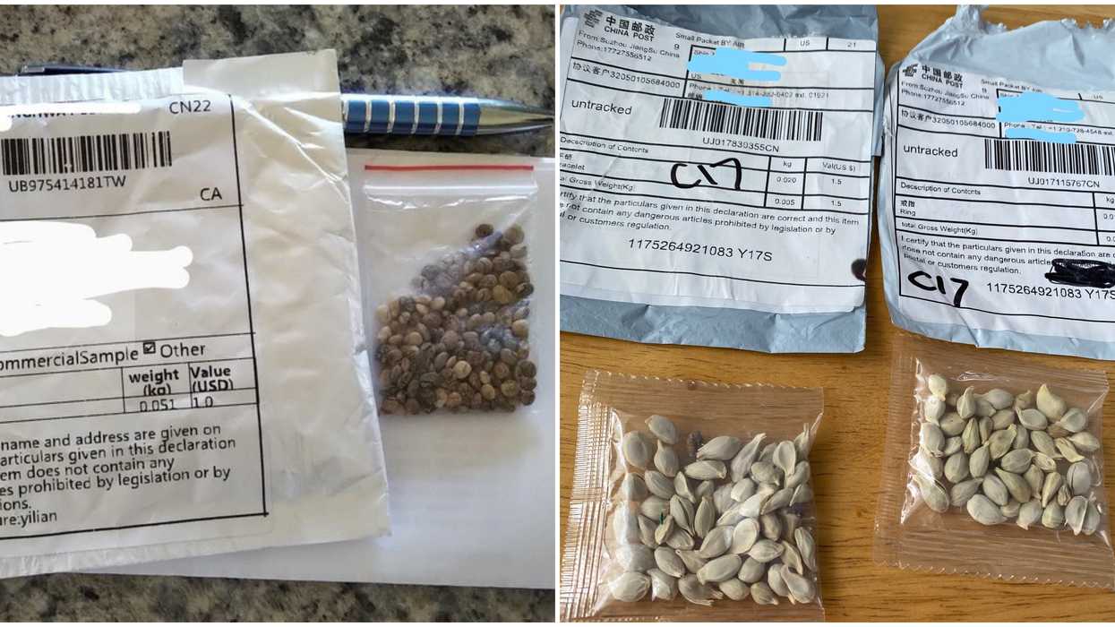 Des Québécois ont reçu d'étranges graines de Chine et les autorités les mettent en garde