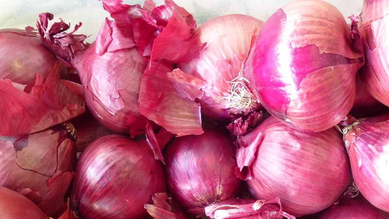 Canadians Are Being Told To Stop Eating Red Onions From The U.S. Due To Salmonella (VIDEO)