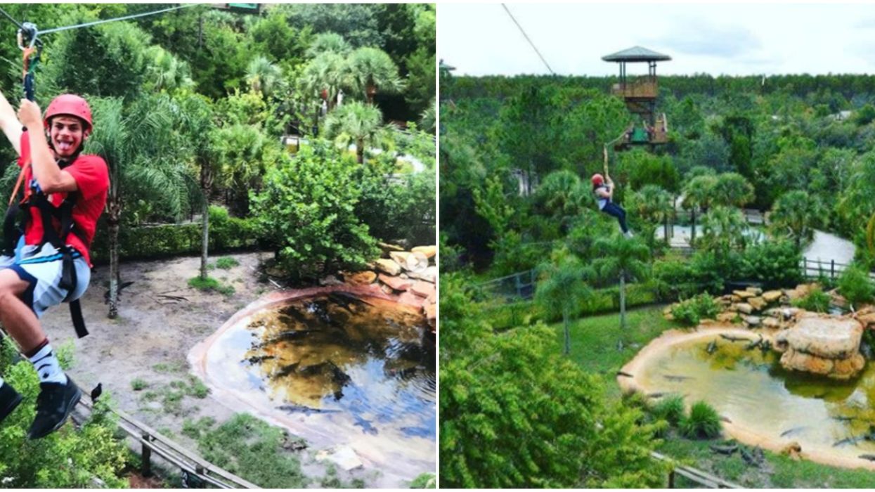 You Can Literally Zipline Over Live Gators In Orlando For Cheap With This Deal