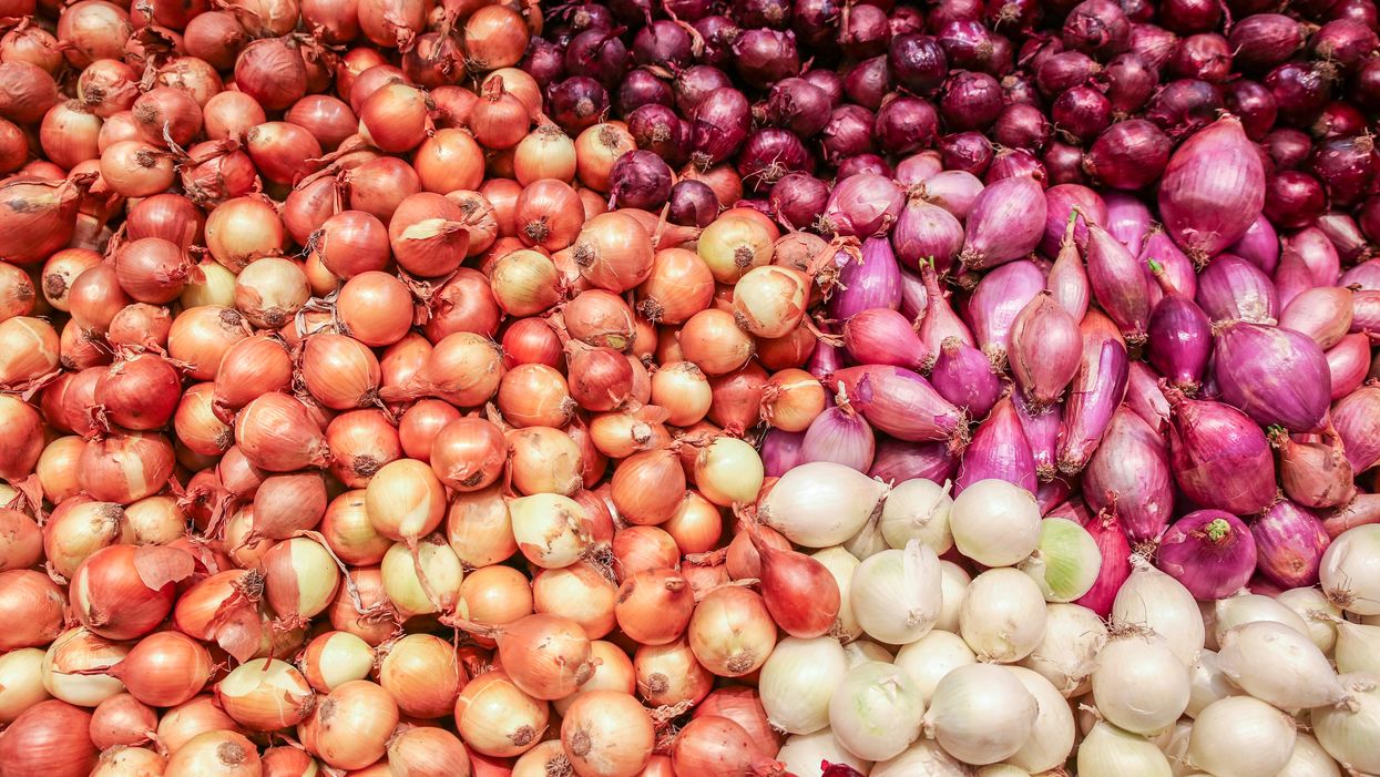 Santé Canada met en garde contre des oignons contaminés à la salmonelle