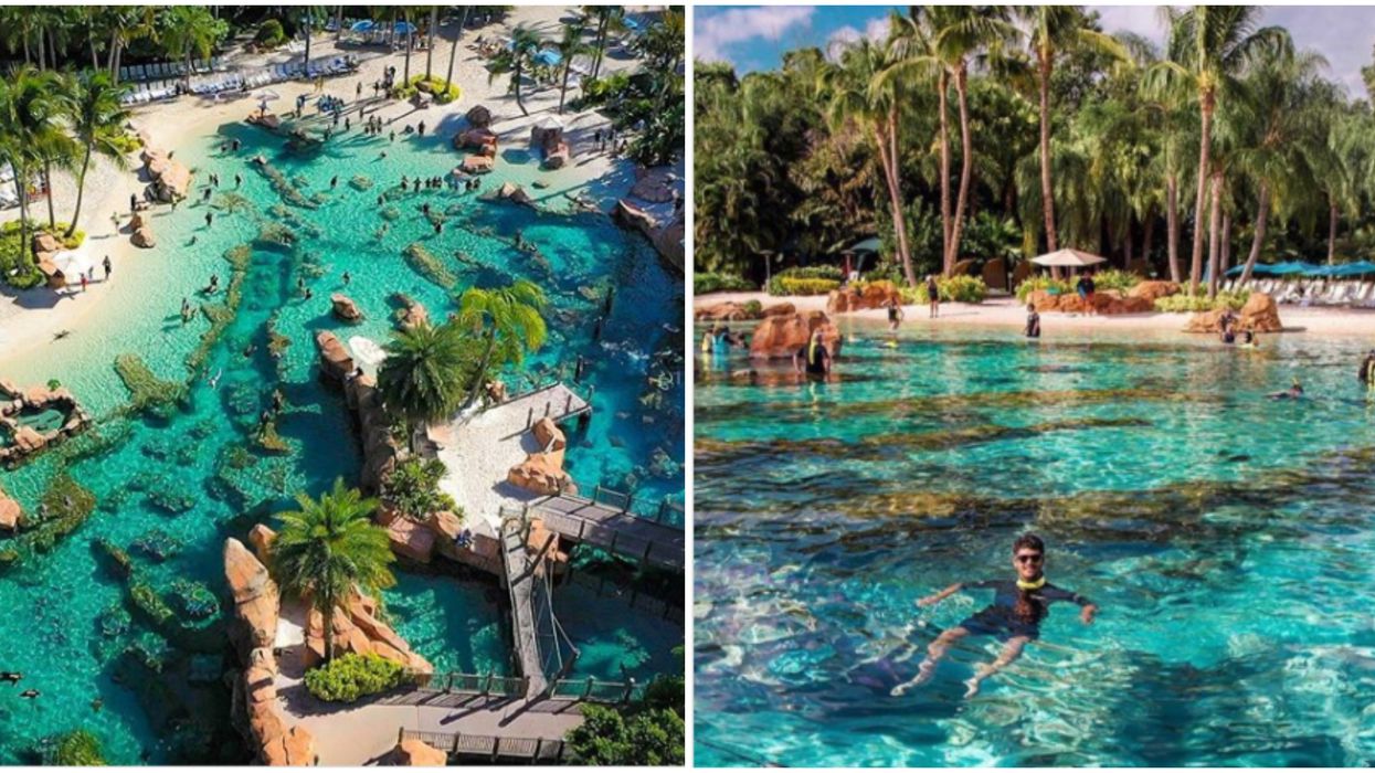This Unique White-Sand Oasis In Orlando Is Offering Huge Discounts On Admission Right Now