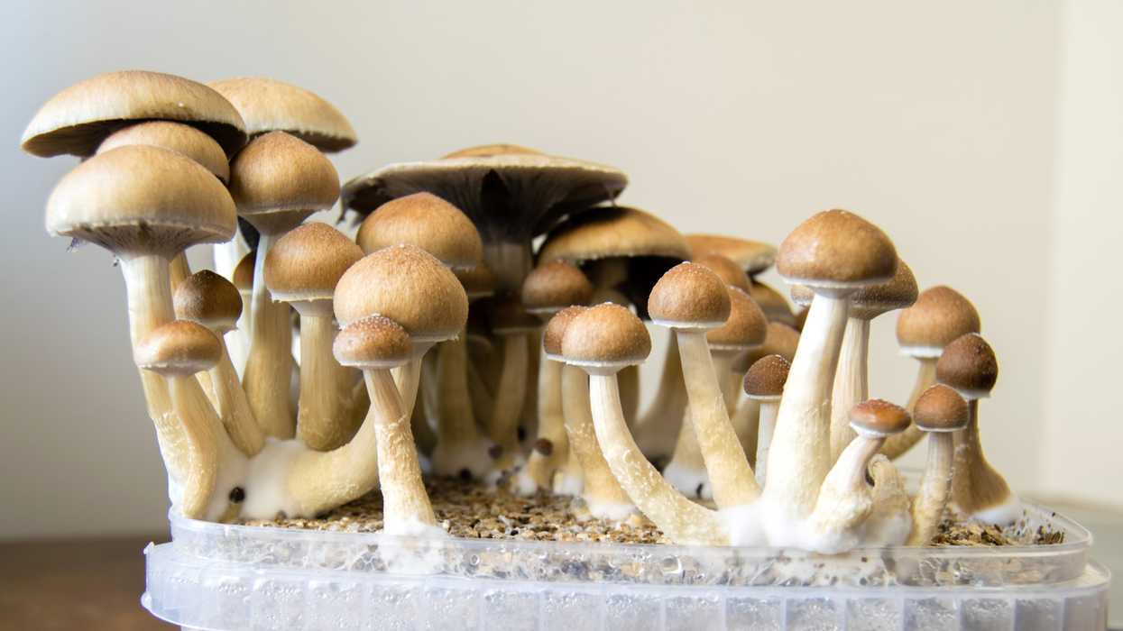A Bunch Of Canadians Got Government Permission To Take Psychedelics For Cancer Treatment