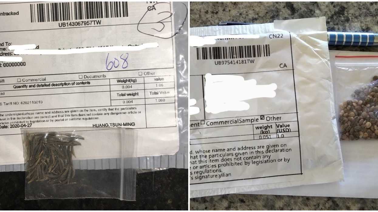 Over 750 Canadians Have Received Mystery Seeds In The Mail & They Might Be Part Of A Scam