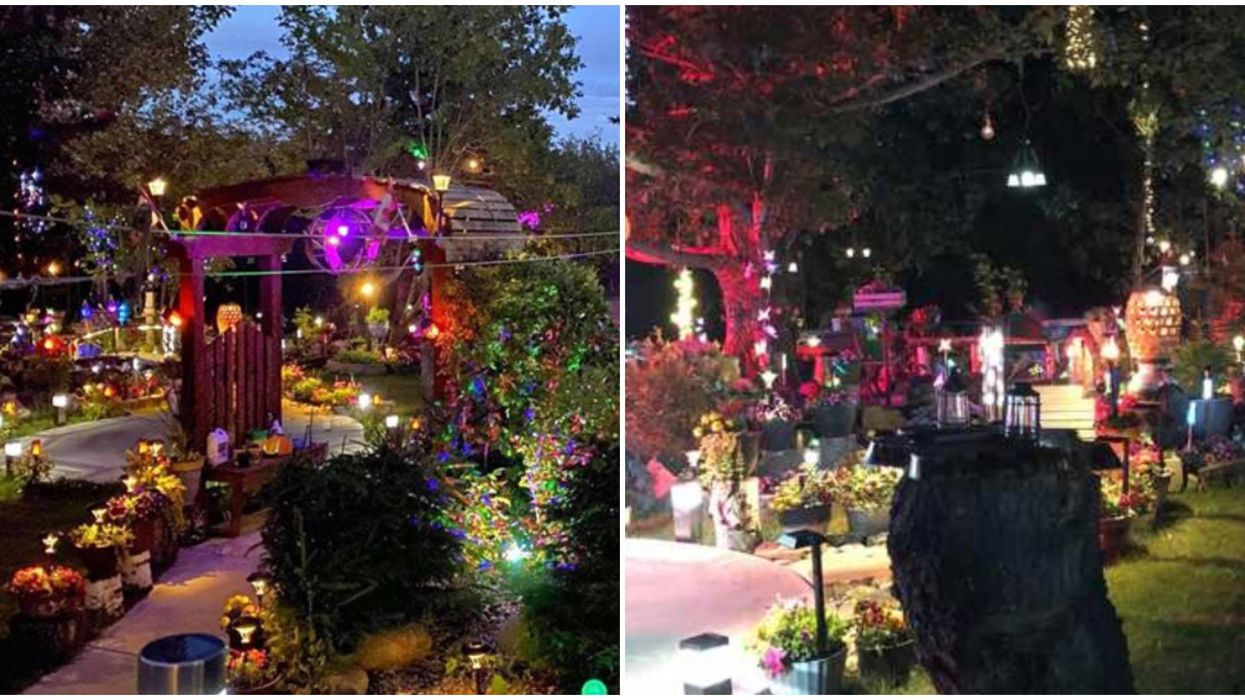 An Edmonton Man's Stunning Backyard Light Show Is Now Open For You To Visit