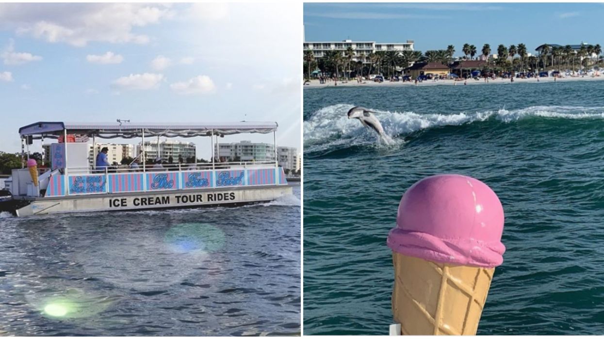 You Can Eat Ice Cream & Spot Dolphins On This Unique Boat Tour Near Tampa For Only $21