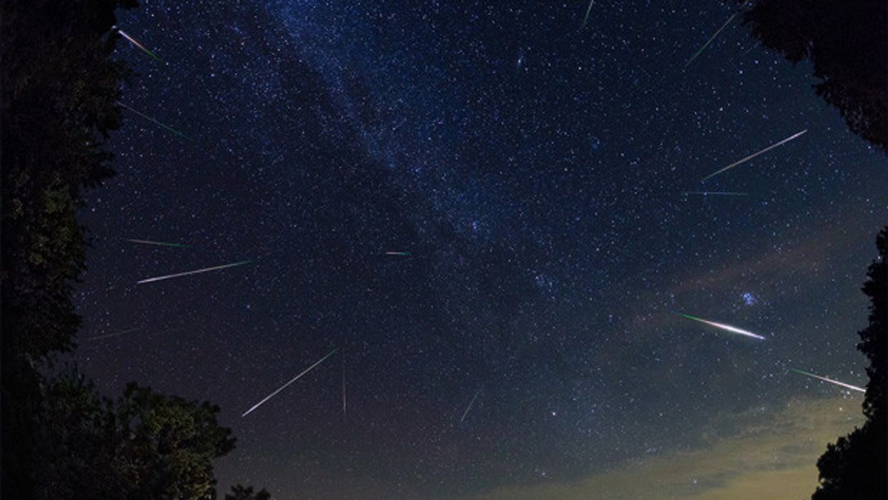 Tu peux rester au Jardin Botanique jusqu'à 1 h du matin pour admirer les Perséides