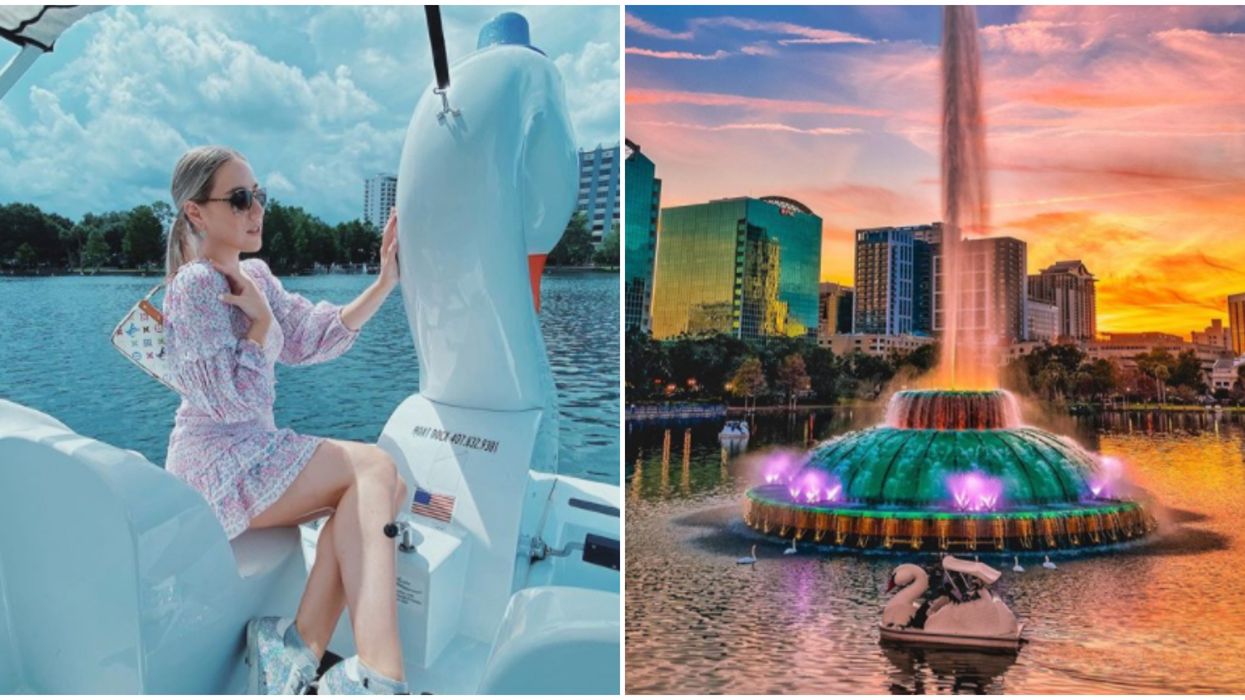 You Can Get A Swan's-Eye-View Of This Orlando Lake For Only $11.50 Right Now