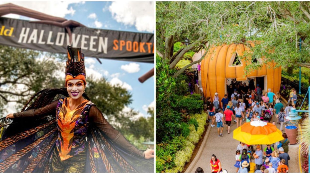 Halloween 2020 Is Officially A Go For SeaWorld Orlando