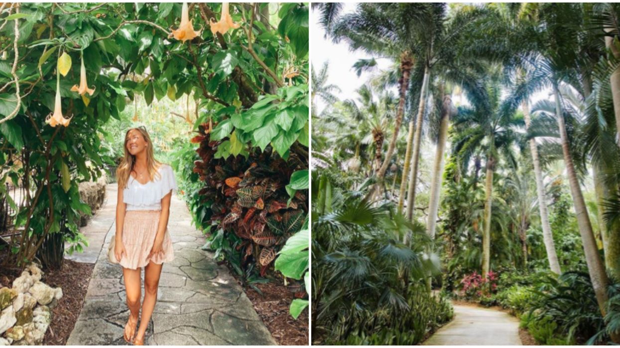 You & Bae Can Get Lost In This Tropical St. Pete Garden Oasis For Only $12.50 Right Now