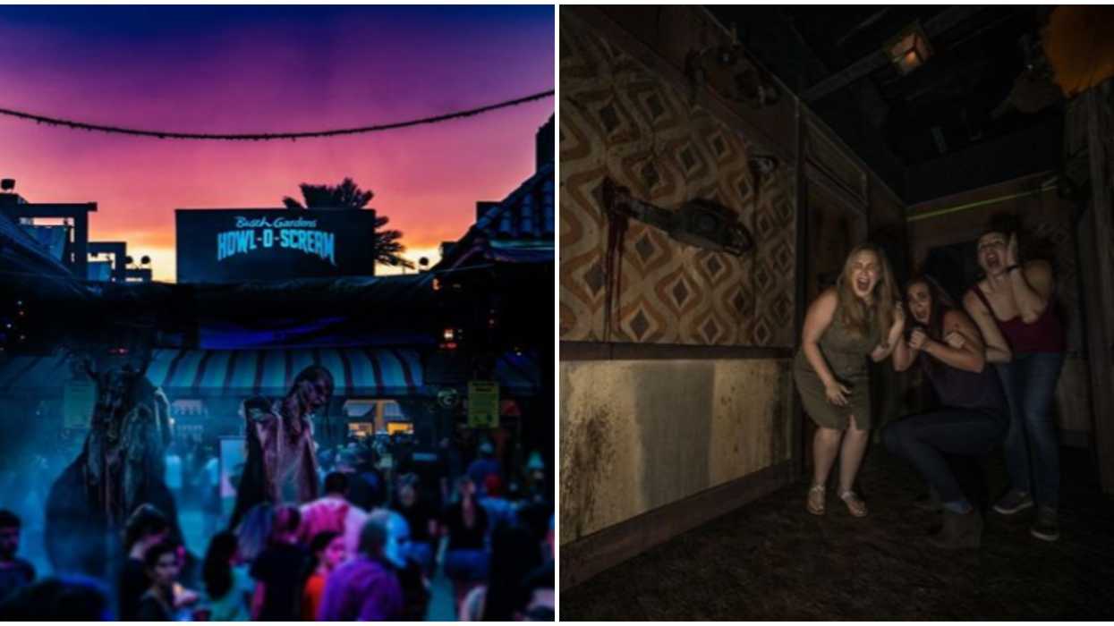 Busch Gardens' Howl-O-Scream Is Officially Making A Comeback & Tickets Are On Sale