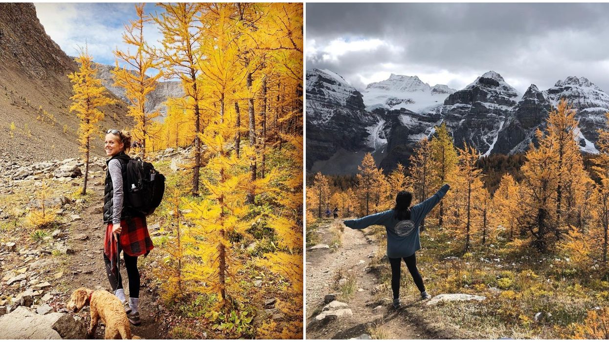 8 Hikes Near Calgary That Are Way More Beautiful In The Fall