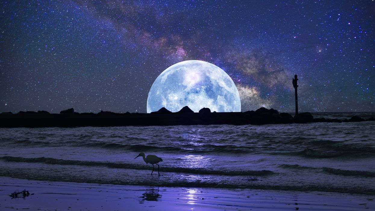 An Eerie Full Blue Moon Will Rise Over Florida On Halloween Night