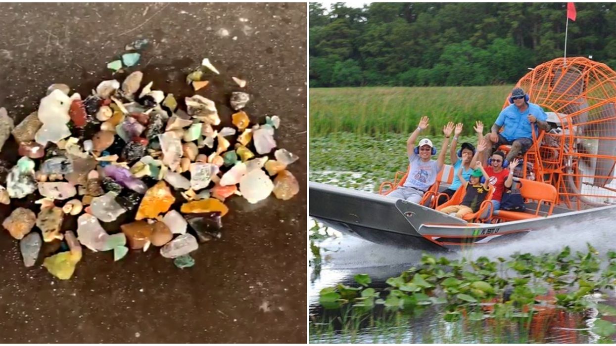 You Can Hunt For Gems & Take An Airboat Tour In Orlando For Super Cheap Right Now