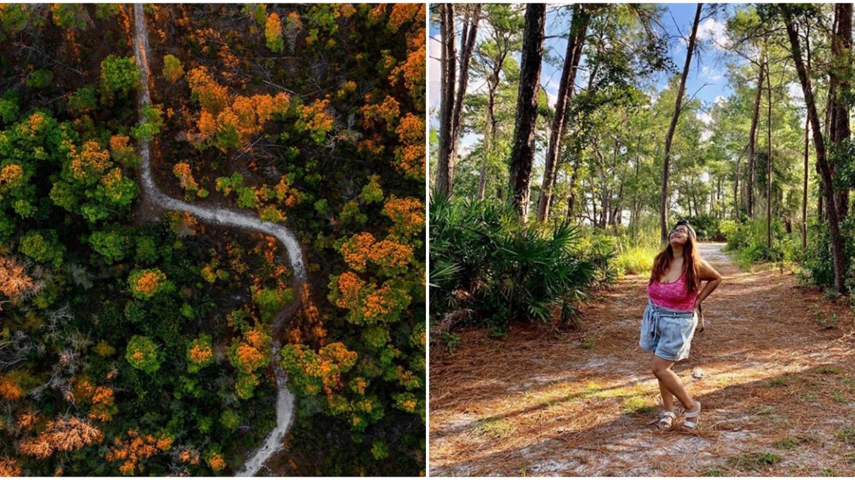 This Short & Easy Hiking Trail Near Tampa Leads To An Enchanting Hidden Beach
