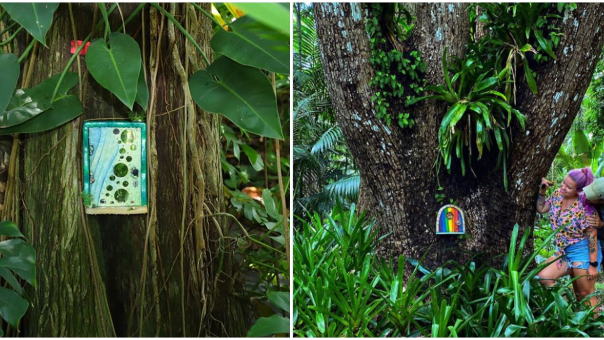 The Magical Fairy Doors In Orlando Are Back & Will Lead You On An Enchanted Adventure