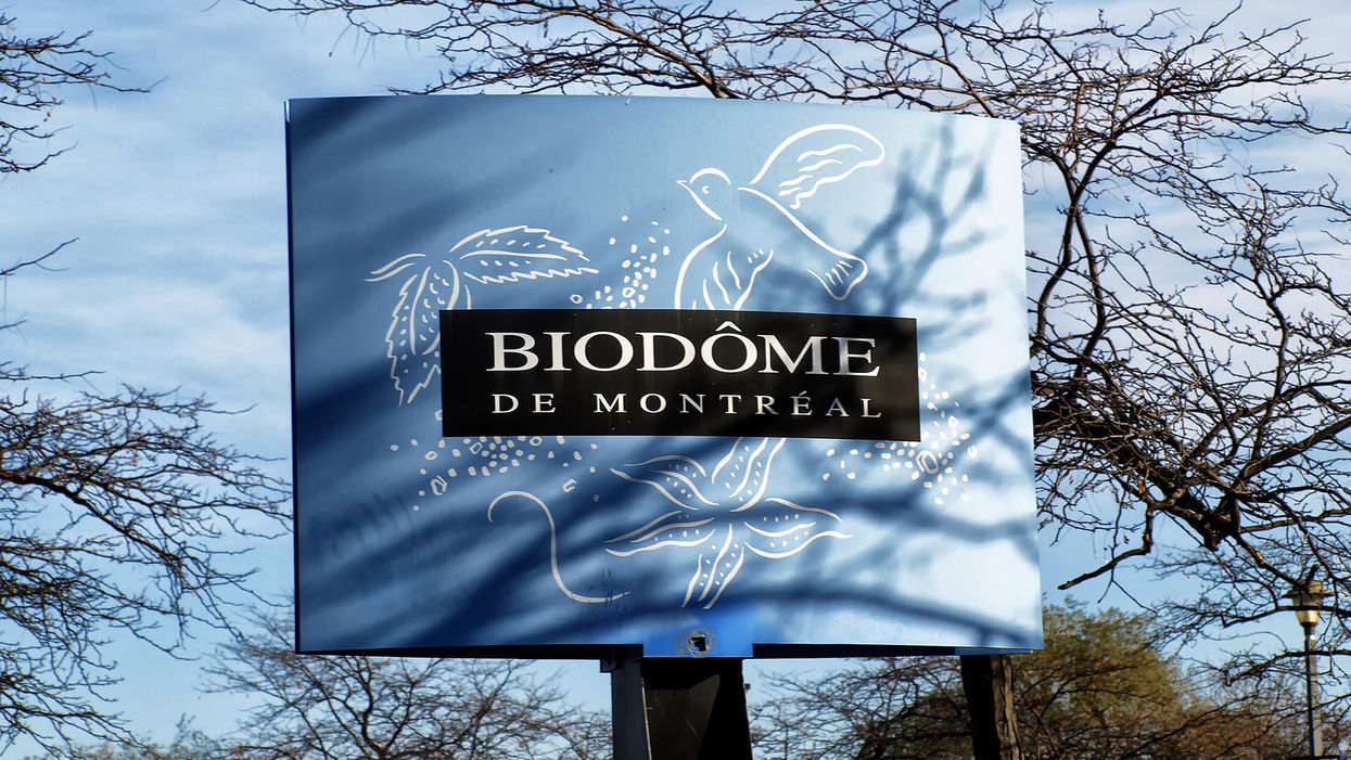 La date de réouverture du Biodôme de Montréal est enfin confirmée et c'est bientôt (VIDÉO)