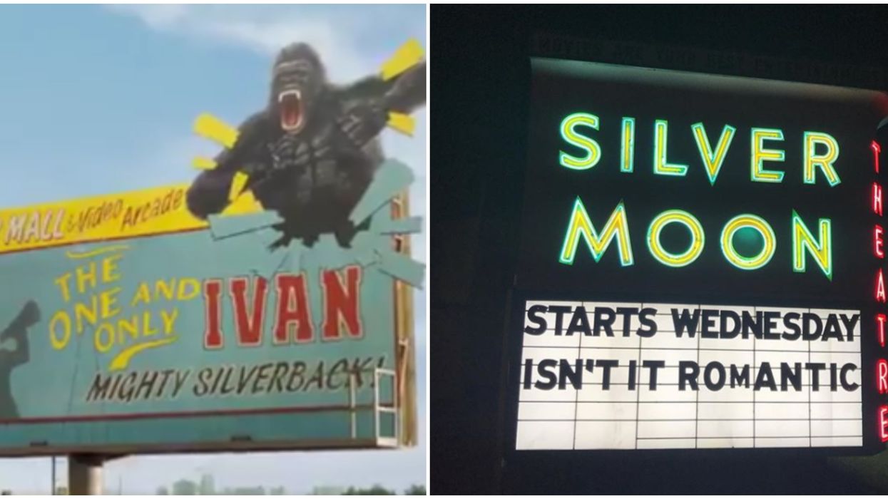 You Can Spot Tons Of Florida Landmarks In The New Disney Film That Just Dropped Today