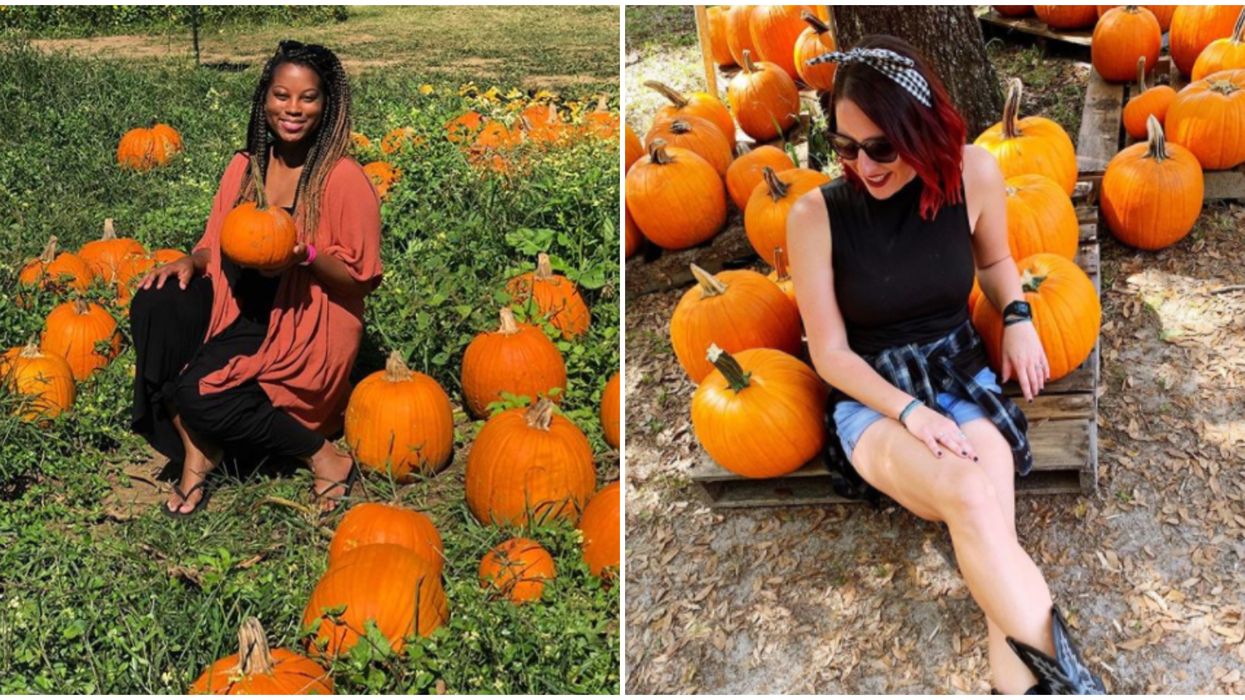 6 Amazing Florida Pumpkin Patches That Will Be Open This Season
