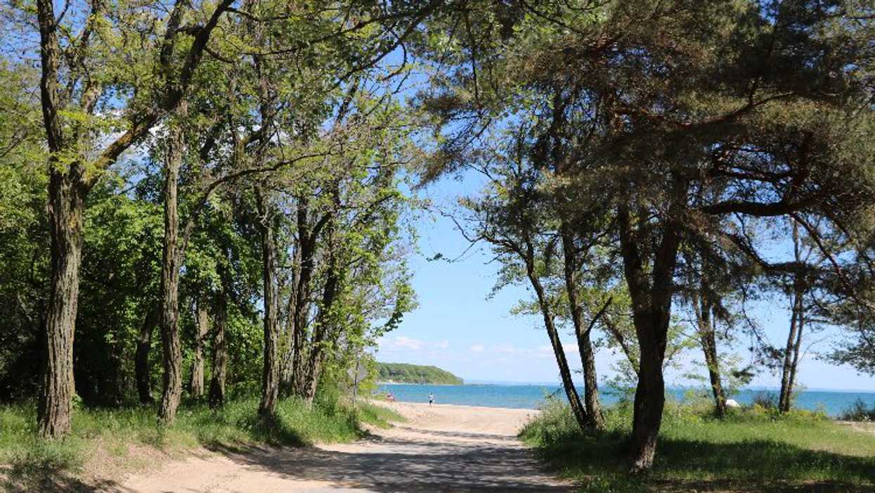 An Ontario Beach Is Banning Visitors After They Wouldn't Stop Littering & Urinating
