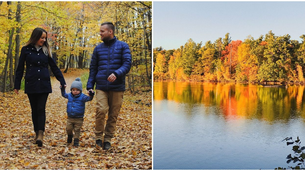 9 randonnées faciles près de Montréal qui te mèneront aux plus belles couleurs d’automne