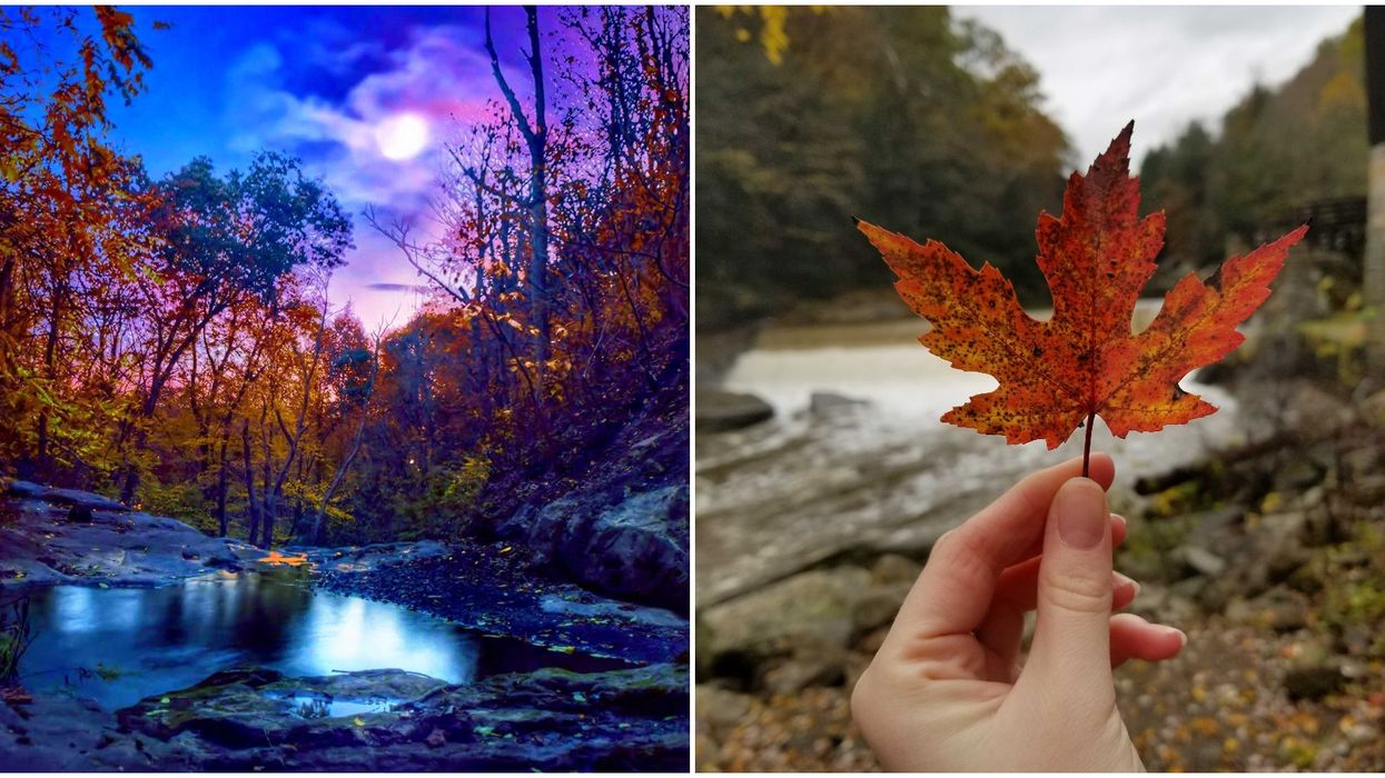 This Interactive Map Of The USA Will Help You Plan Your 2020 Fall Foliage Adventures
