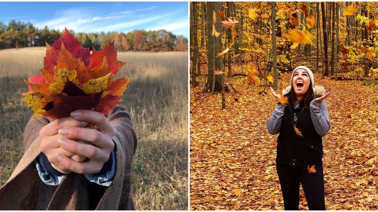 This Ontario Parks Interactive Map Lets You Know When The Leaves Will Change Colour