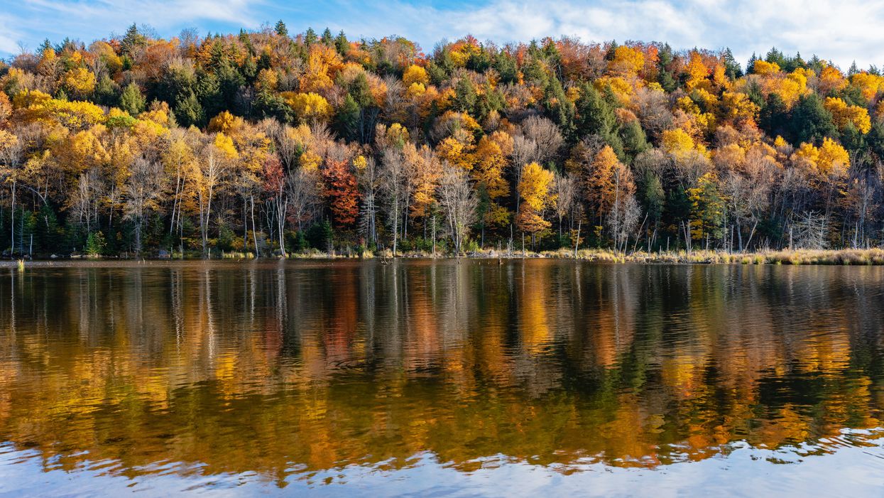 Cette carte te montre où aller pour admirer les plus belles couleurs d'automne au Québec