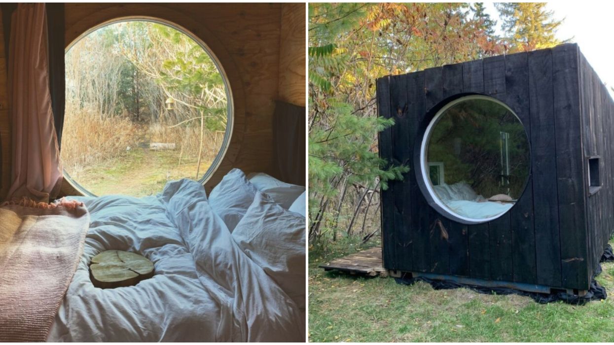 This Super Cute Tiny Cabin For Sale In Toronto Is Just $60K (PHOTOS)