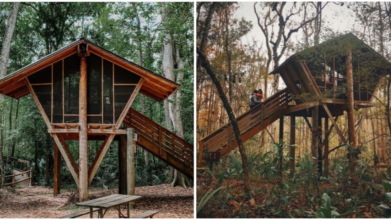 You Can Camp Like A Florida Bird Of Paradise In This Hidden Jacksonville 'Birdhouse'