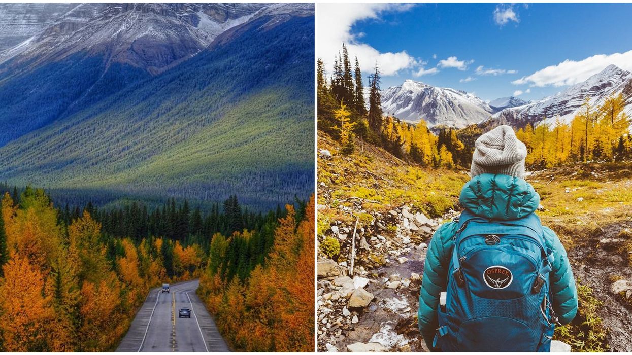 9 Road Trips Around Alberta That Will Give You All The Spectacular Fall Views