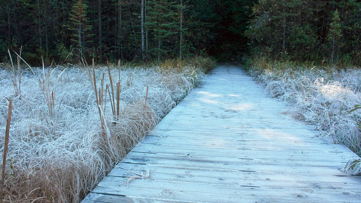 Frost Advisories Were Issued In 3 Different Provinces & Some Temperatures Are Below Zero