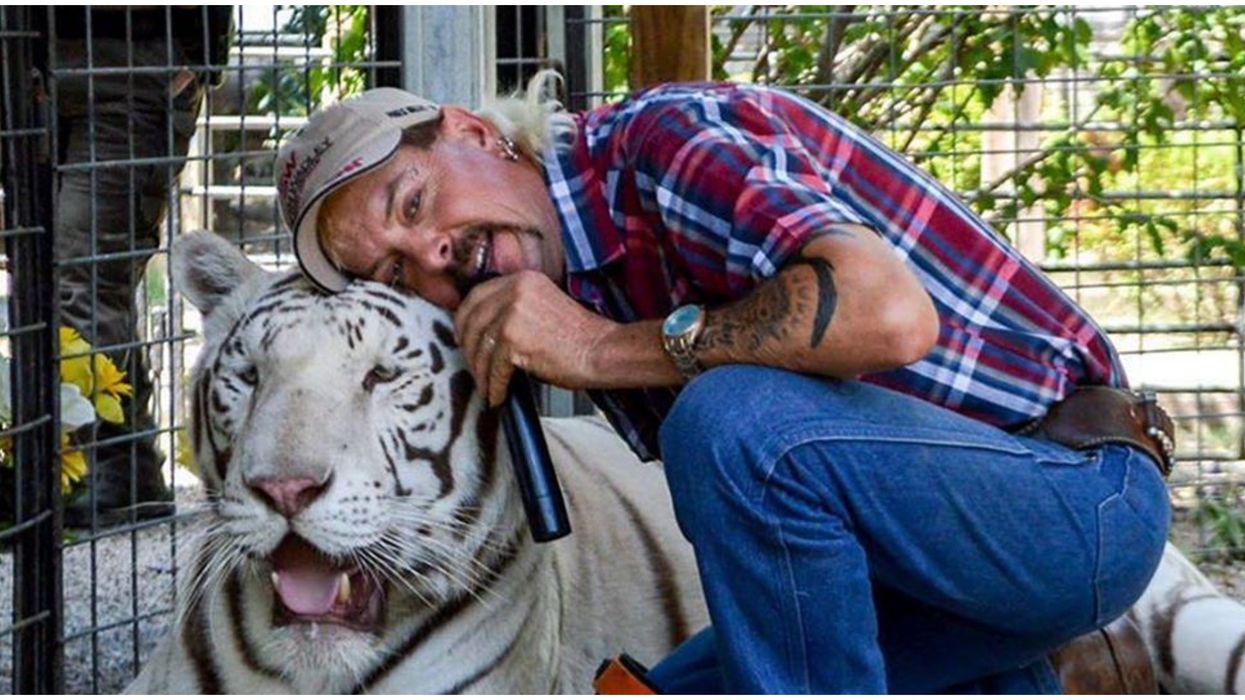 You Can Finally Check Out 'Tiger King' Everything At This Las Vegas Museum