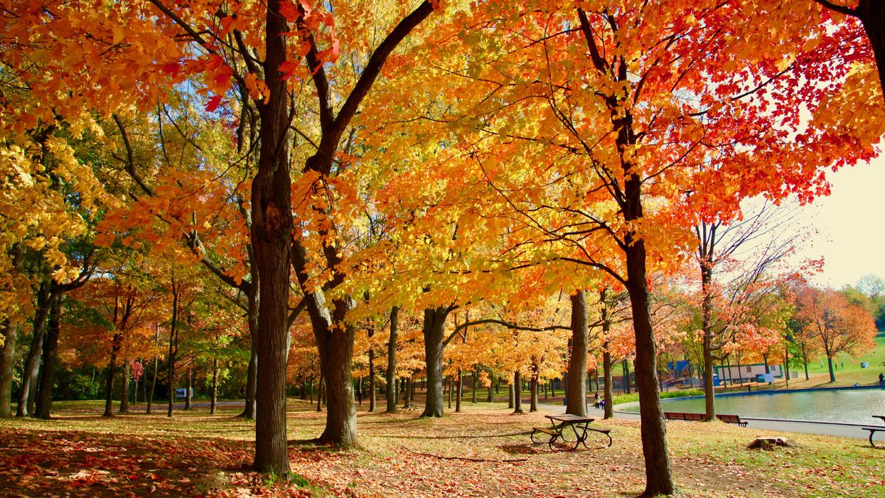 Voici officiellement à quoi va ressembler la météo cet automne au Québec