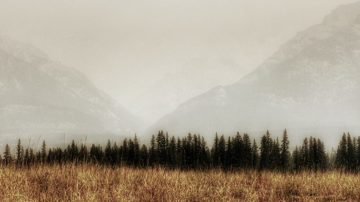 Wildfire Smoke In The US Is So Bad That It's Spreading Into Alberta