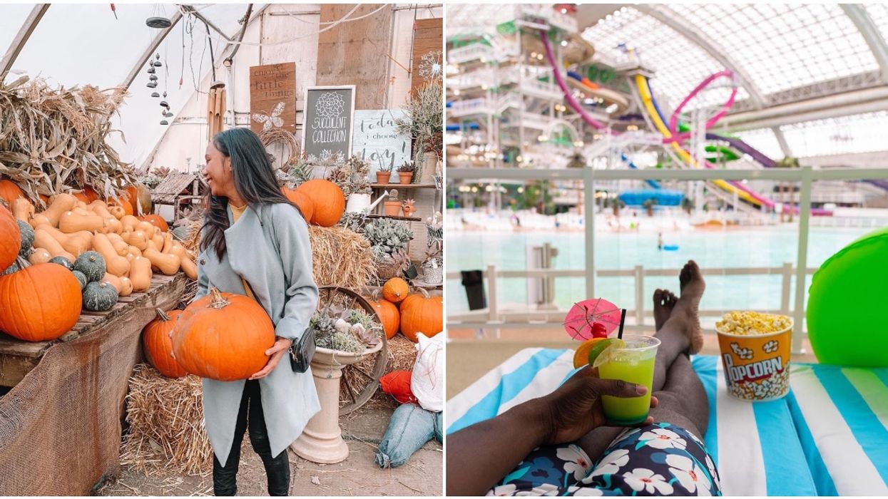 8 Things To Do This Weekend In Edmonton, September 18 to 20