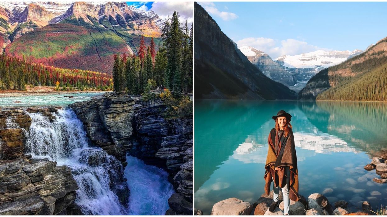 18 Easy Hikes In Alberta You Can Go On This Fall If You Actually Hate Hiking