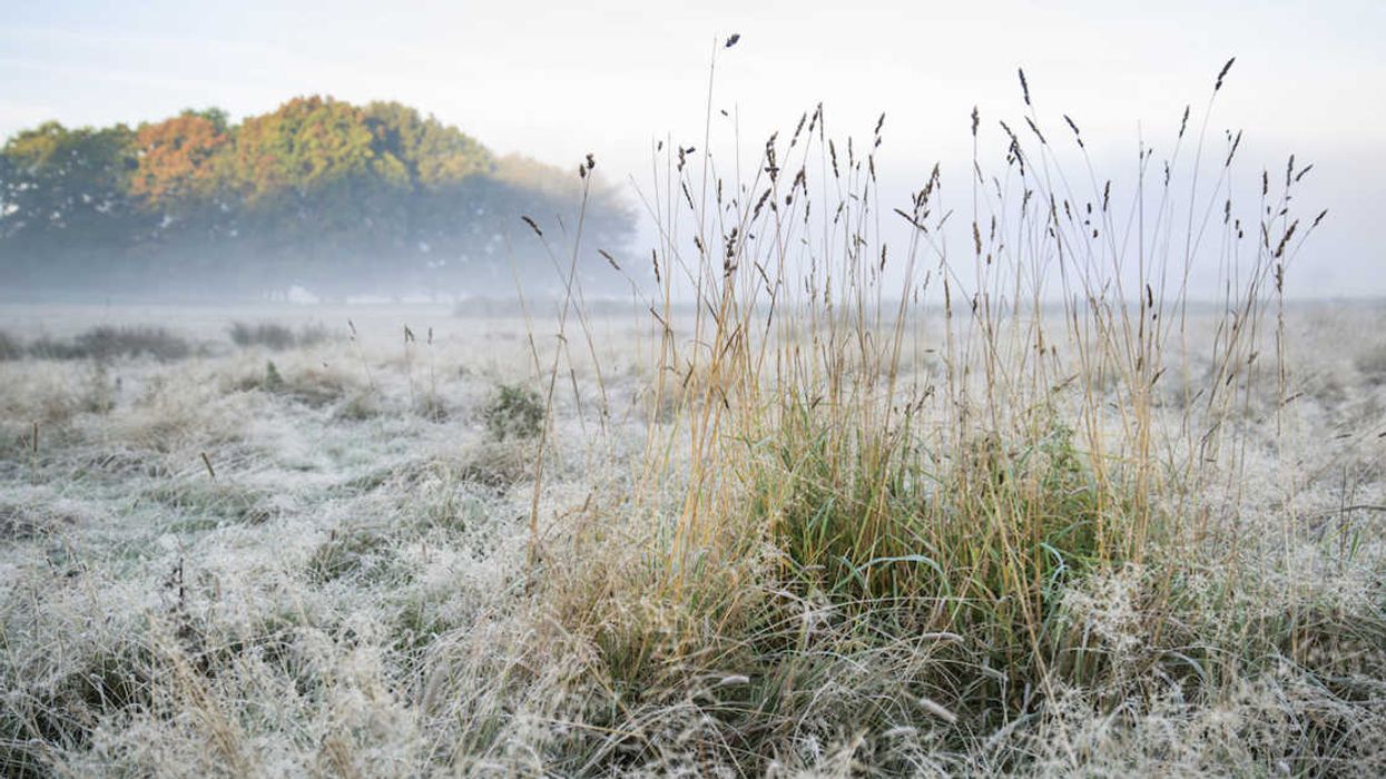 Des avis de gel ont été émis à travers le Québec et ça sent la fin officielle de l'été