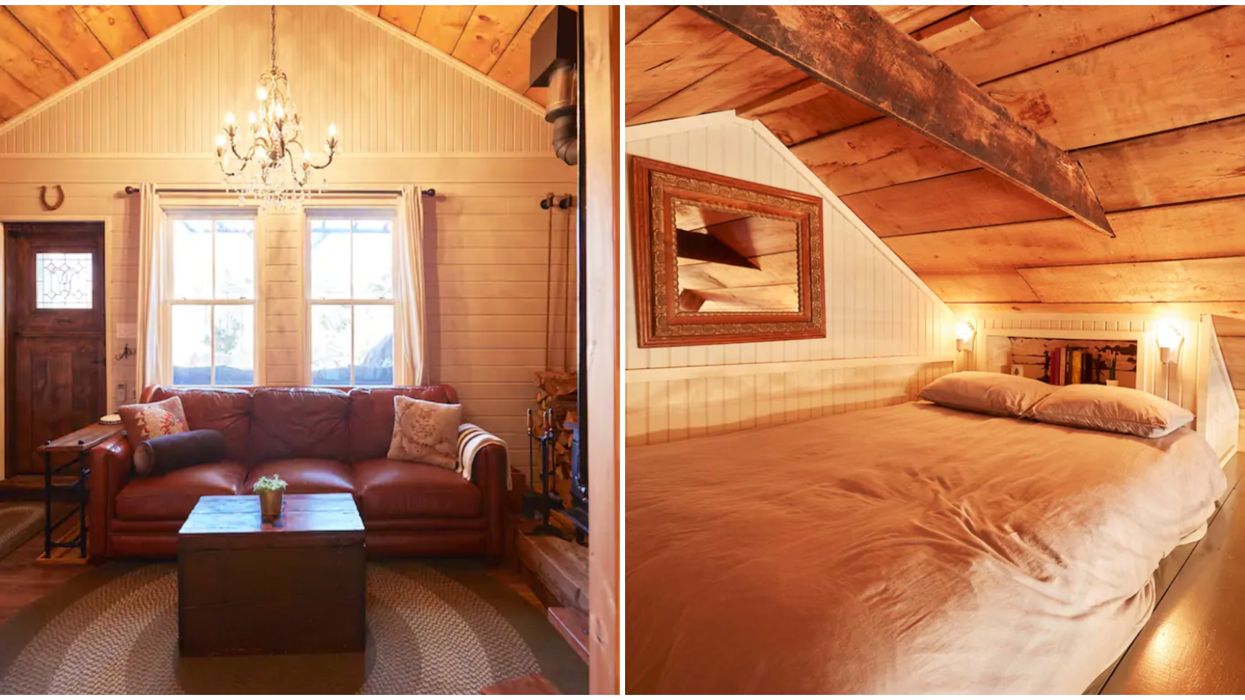 You Can Rent A Cozy Cottage Right In Downtown Toronto For Super Cheap