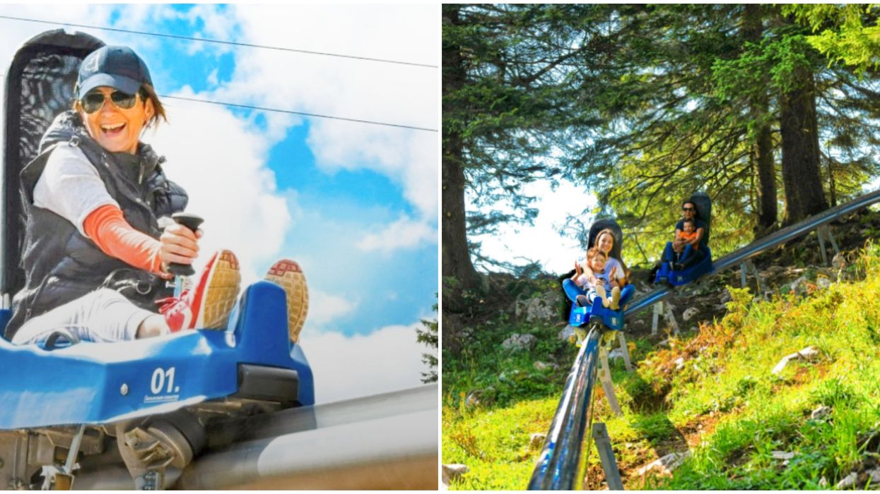 Vancouver Is Getting A Brand New 1.7-km Mountain Coaster Next Summer (VIDEO)