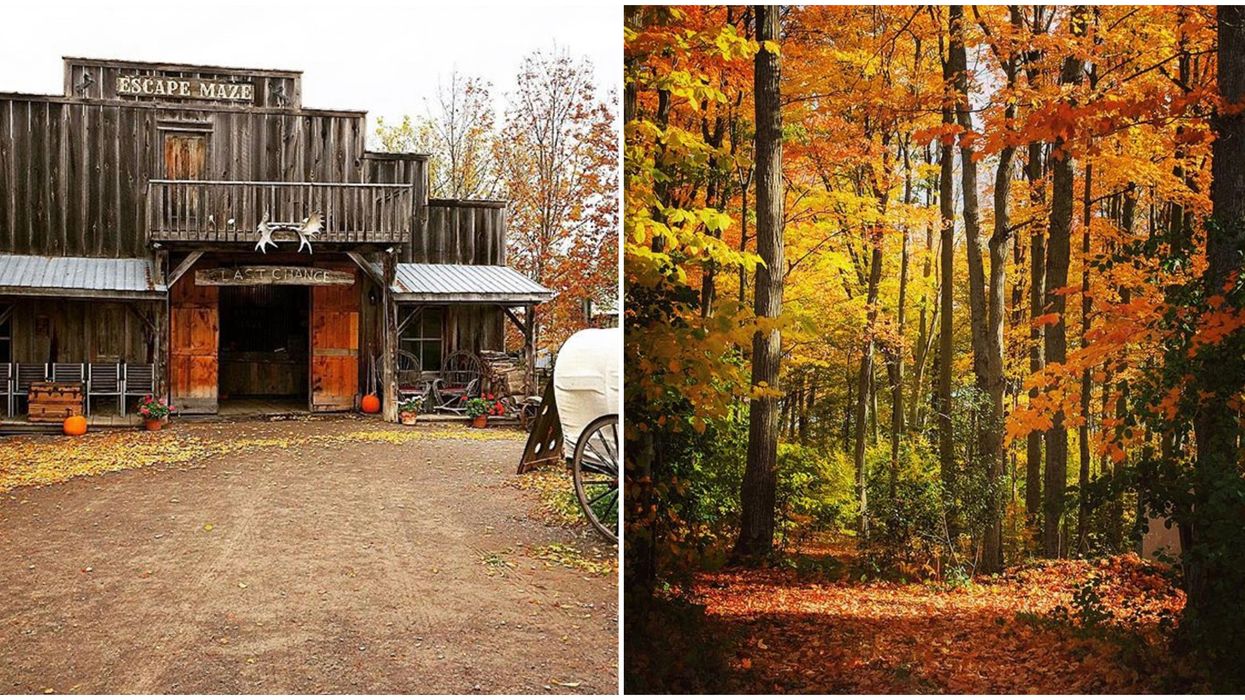 Ontario’s New Haunted Escape Trail Is Open & It's Like Being In A Horror Movie