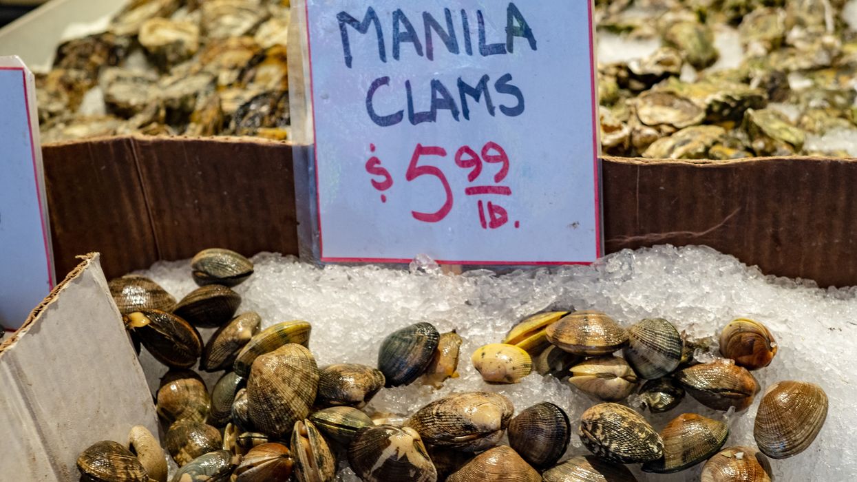 Canada Is Recalling Clams That Could Cause Paralysis & Death