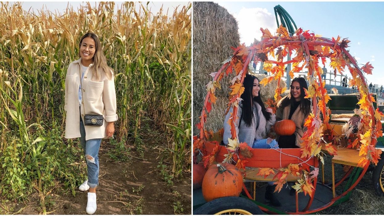 Calgary's Nighttime Corn Maze Is The Most Magical Way To Experience Fall