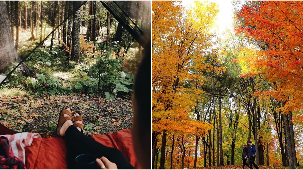 Voici comment profiter de l'automne à 100% dans ta propre ville