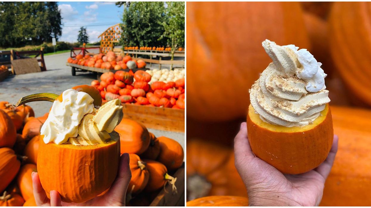 Tiny Pumpkin Spice Ice Cream-Filled Pumpkins Exist At This BC Farm
