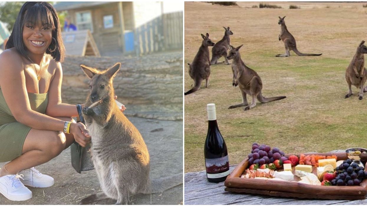 Baby Kangaroos & Wine Are On The Agenda For Calgary’s Adult's Only Event This Weekend