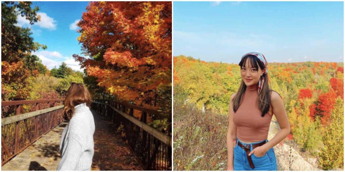 Toronto Fall Walk 8 Serene Toronto Spots Where You Can Get Stunning Fall Views Without ...