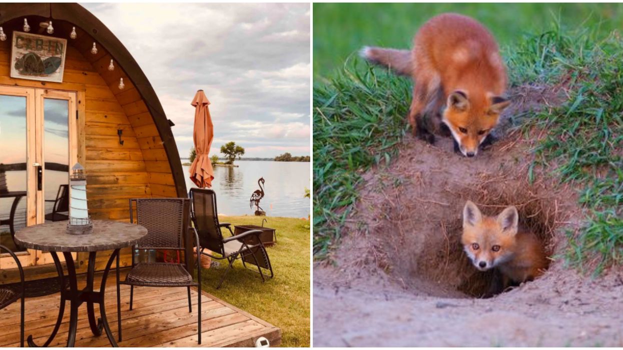This Adorable Pod Cabin On The Lake Near Toronto Is Surrounded By Furry Creatures